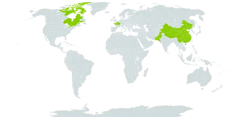 Potentilla crantzii world distribution map, present in Canada, China, France, and Pakistan