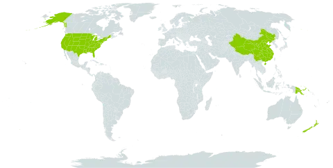 Potentilla world distribution map, present in China, New Zealand, Papua New Guinea, and United States of America