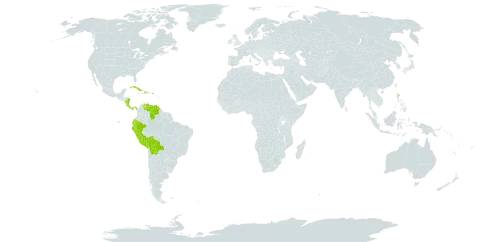 Prestoea acuminata world distribution map, present in Bolivia (Plurinational State of), Costa Rica, Cuba, Dominica, Ecuador, Haiti, Nicaragua, Panama, Peru, Puerto Rico, and Venezuela (Bolivarian Republic of)