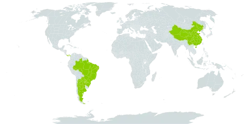 Pristimera world distribution map, present in Argentina, Brazil, China, Panama, and Paraguay