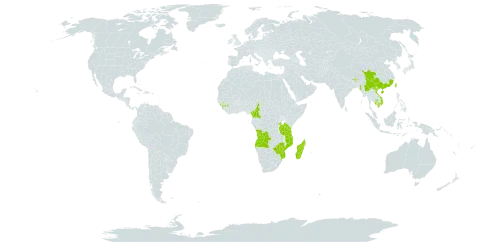 Procris crenata world distribution map, present in Angola, Bhutan, China, Cameroon, Comoros, Guinea, Equatorial Guinea, India, Cambodia, Sri Lanka, Madagascar, Myanmar, Mozambique, Nepal, Philippines, Rwanda, Sao Tome and Principe, Taiwan, Province of China, Tanzania, United Republic of, Uganda, Viet Nam, and Zimbabwe