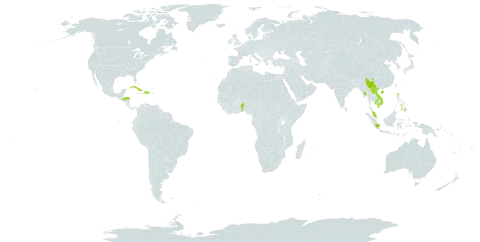 Procris repens world distribution map, present in Benin, China, Cuba, Dominican Republic, Guam, Honduras, Haiti, Indonesia, Cambodia, Lao People's Democratic Republic, Myanmar, Malaysia, Philippines, Singapore, and Viet Nam