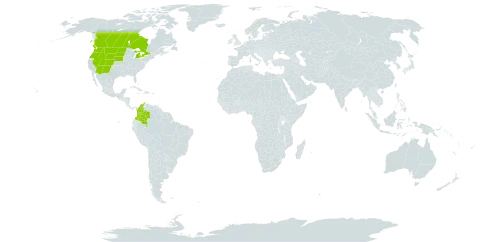 Prosartes trachycarpa world distribution map, present in Canada, Colombia, Micronesia (Federated States of), and United States of America