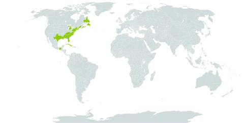 Proserpinaca pectinata world distribution map, present in Canada, Cuba, Mexico, and United States of America