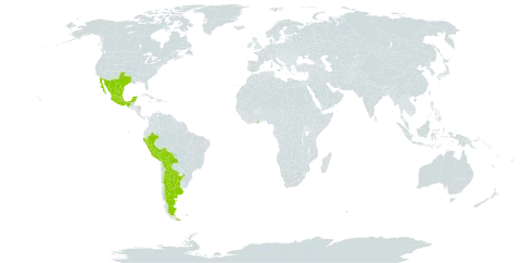 Prosopis laevigata world distribution map, present in Argentina, American Samoa, Bolivia (Plurinational State of), Ghana, Mexico, Peru, Singapore, and United States of America