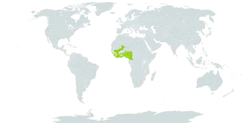 Protea madiensis subsp. occidentalis world distribution map, present in Benin, Côte d'Ivoire, Cameroon, Ghana, Guinea, Liberia, Mali, Nigeria, Sierra Leone, and Togo