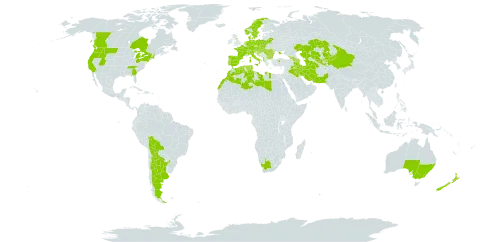 Prunus cerasifera world distribution map, present in Afghanistan, Albania, Argentina, Armenia, Australia, Austria, Azerbaijan, Bulgaria, Bosnia and Herzegovina, Belarus, Bolivia (Plurinational State of), Canada, Switzerland, China, Czech Republic, Germany, Denmark, Algeria, Spain, France, United Kingdom of Great Britain and Northern Ireland, Georgia, Croatia, Hungary, Iran (Islamic Republic of), Iraq, Italy, Kazakhstan, Kyrgyzstan, Libya, Morocco, Moldova (Republic of), North Macedonia, Netherlands, Norway, Nepal, New Zealand, Pakistan, Poland, Portugal, Romania, Serbia, Slovakia, Sweden, Tajikistan, Turkmenistan, Tunisia, Turkey, Ukraine, United States of America, Uzbekistan, and South Africa