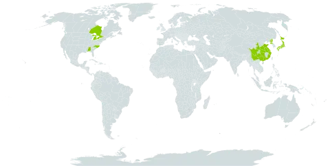 Prunus glandulosa world distribution map, present in Canada, China, Japan, Korea (Democratic People's Republic of), and United States of America