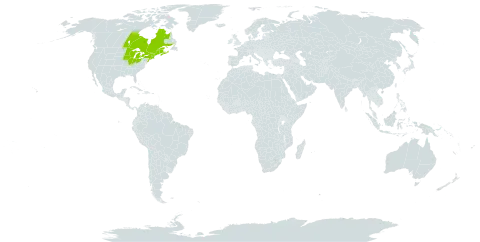 Prunus nigra world distribution map, present in Canada and United States of America