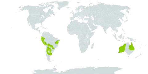 Pseudabutilon virgatum world distribution map, present in Argentina, Australia, Bolivia (Plurinational State of), Brazil, Ecuador, Peru, and Paraguay