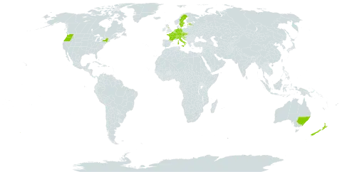 Pseudofumaria lutea world distribution map, present in Australia, Austria, Belgium, Switzerland, Czech Republic, Germany, Estonia, France, United Kingdom of Great Britain and Northern Ireland, Croatia, Italy, Luxembourg, Netherlands, New Zealand, Slovakia, Sweden, and United States of America