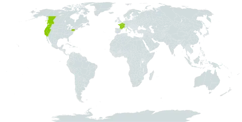 Pseudotsuga menziesii var. menziesii world distribution map, present in Canada, France, and United States of America