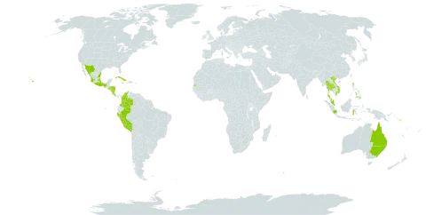 Psilotum complanatum world distribution map, present in American Samoa, Australia, Colombia, Costa Rica, Cuba, Micronesia (Federated States of), Honduras, Indonesia, Jamaica, Mexico, Northern Mariana Islands, Malaysia, Nicaragua, Peru, Philippines, Palau, Papua New Guinea, Singapore, Solomon Islands, El Salvador, Seychelles, Thailand, Tokelau, Tonga, United States of America, Viet Nam, and Samoa