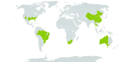 Psilotum nudum world distribution map, present in Australia, Brazil, China, New Zealand, Thailand, United States of America, and South Africa