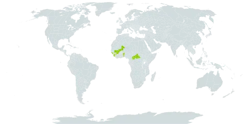 Psorospermum alternifolium world distribution map, present in Benin, Central African Republic, Guinea, Guinea-Bissau, Mali, and Sierra Leone