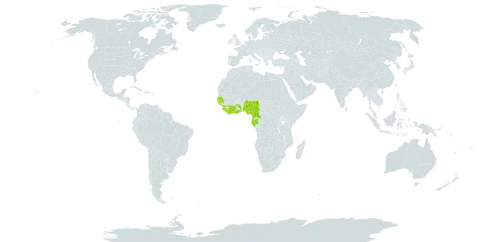 Psorospermum guineense world distribution map, present in Burkina Faso, Côte d'Ivoire, Cameroon, Gabon, Ghana, Guinea, Gambia, Guinea-Bissau, Equatorial Guinea, Liberia, Nigeria, Senegal, Sierra Leone, and Togo