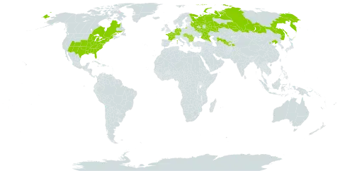 Ptelea trifoliata world distribution map, present in Bulgaria, Canada, China, Germany, France, Hungary, Romania, Russian Federation, Slovakia, Tajikistan, United States of America, and Uzbekistan