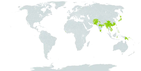 Pteris cretica subsp. laeta world distribution map, present in Afghanistan, Azerbaijan, Bhutan, China, Indonesia, India, Japan, Cambodia, Lao People's Democratic Republic, Sri Lanka, Myanmar, Nepal, Pakistan, Philippines, Papua New Guinea, Taiwan, Province of China, and Viet Nam