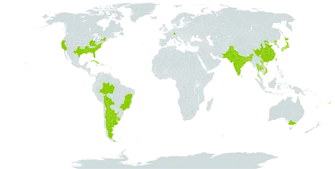 Pteris multifida world distribution map, present in Argentina, Australia, Bangladesh, Bolivia (Plurinational State of), Brazil, China, Cuba, Germany, Dominica, Spain, Fiji, Guadeloupe, India, Jamaica, Japan, Sri Lanka, Montserrat, Martinique, Pakistan, Korea (Democratic People's Republic of), Portugal, Singapore, Thailand, Trinidad and Tobago, Taiwan, Province of China, Uganda, Uruguay, United States of America, and Viet Nam