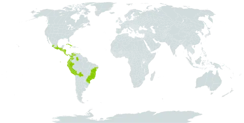 Pteris podophylla world distribution map, present in Bolivia (Plurinational State of), Brazil, Colombia, Costa Rica, Cuba, Ecuador, Guatemala, Honduras, Jamaica, Mexico, Nicaragua, Panama, Peru, El Salvador, and Venezuela (Bolivarian Republic of)