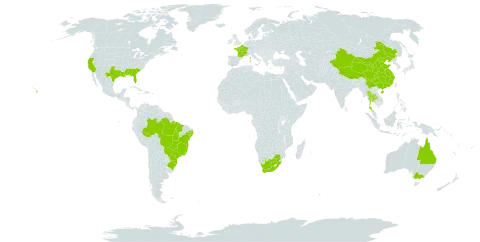 Pteris vittata world distribution map, present in Australia, Brazil, China, France, Thailand, United States of America, and South Africa