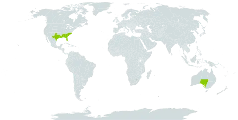 Pterocaulon world distribution map, present in Australia and United States of America