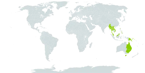 Pterocaulon redolens world distribution map, present in Australia, Lao People's Democratic Republic, Myanmar, Malaysia, Philippines, Papua New Guinea, Thailand, and Viet Nam