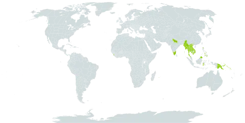 Pueraria phaseoloides var. javanica world distribution map, present in Barbados, Brunei Darussalam, Indonesia, India, Cambodia, Lao People's Democratic Republic, Sri Lanka, Myanmar, Mauritius, Malaysia, Philippines, Papua New Guinea, Réunion, Solomon Islands, Thailand, and Viet Nam