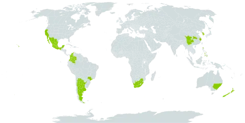 Pyracantha angustifolia world distribution map, present in Argentina, Australia, Brazil, China, Colombia, Korea (Republic of), Mexico, New Zealand, Philippines, United States of America, and South Africa