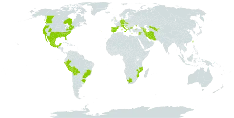 Pyracantha coccinea world distribution map, present in Albania, Armenia, Azerbaijan, Bulgaria, Bosnia and Herzegovina, Bolivia (Plurinational State of), Brazil, Canada, Switzerland, Czech Republic, Germany, Spain, France, United Kingdom of Great Britain and Northern Ireland, Georgia, Greece, Croatia, Iran (Islamic Republic of), Italy, Lebanon, Mexico, North Macedonia, Montenegro, Mozambique, Peru, Portugal, Slovakia, Syrian Arab Republic, Turkey, Taiwan, Province of China, Ukraine, United States of America, Uzbekistan, and South Africa