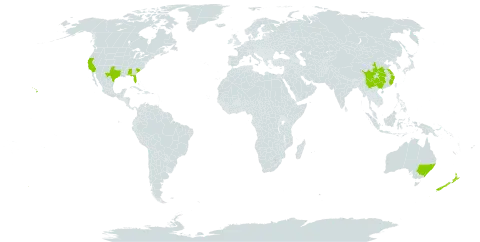 Pyracantha fortuneana world distribution map, present in Australia, China, New Zealand, and United States of America