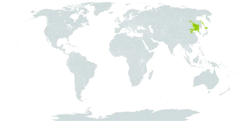 Pyrola renifolia world distribution map, present in China, Japan, Korea (Democratic People's Republic of), and Russian Federation