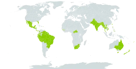 Pyrostegia venusta world distribution map, present in Argentina, Australia, Bangladesh, Bolivia (Plurinational State of), Brazil, Bhutan, Central African Republic, Colombia, Costa Rica, Ecuador, Spain, Fiji, Guinea, Guatemala, Guyana, Honduras, India, Jamaica, Mexico, Myanmar, Mauritius, Nepal, New Zealand, Pakistan, Panama, Peru, Philippines, Puerto Rico, Paraguay, Réunion, El Salvador, Suriname, Thailand, Trinidad and Tobago, Taiwan, Province of China, United States of America, Venezuela (Bolivarian Republic of), Viet Nam, and South Africa