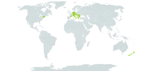 Quercus cerris world distribution map, present in Albania, Austria, Bulgaria, Switzerland, Czech Republic, Germany, France, Greece, Hungary, Italy, New Zealand, Romania, Turks and Caicos Islands, and United States of America