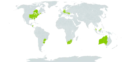 Quercus palustris world distribution map, present in Åland Islands, Australia, Austria, Brazil, Canada, Germany, Denmark, Micronesia (Federated States of), Hungary, Malaysia, Nicaragua, Romania, United States of America, and South Africa