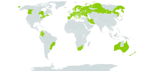 Quercus robur world distribution map, present in Albania, Australia, Austria, Bulgaria, Belarus, Brazil, Canada, Switzerland, Colombia, Czech Republic, Germany, Denmark, Spain, Finland, France, United Kingdom of Great Britain and Northern Ireland, Greece, Hungary, Ireland, Iran (Islamic Republic of), Italy, Lesotho, Netherlands, Norway, New Zealand, Poland, Portugal, Réunion, Romania, Russian Federation, Sweden, Turks and Caicos Islands, Ukraine, United States of America, and South Africa