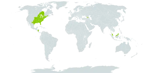 Quercus velutina world distribution map, present in Åland Islands, Canada, Micronesia (Federated States of), Georgia, Malaysia, Nicaragua, and United States of America