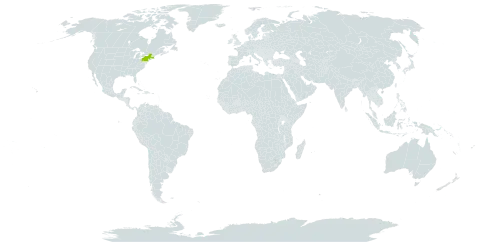 Quercus x robbinsii world distribution map, present in United States of America