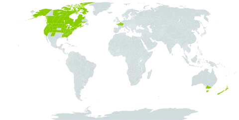 Ranunculus acris world distribution map, present in Australia, Canada, France, United Kingdom of Great Britain and Northern Ireland, New Zealand, and United States of America