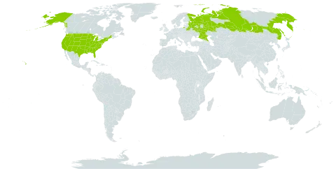 Ranunculus angustior world distribution map, present in Belarus, Russian Federation, and United States of America