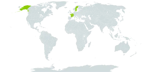 Ranunculus auricomus world distribution map, present in France, Sweden, and United States of America