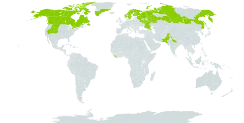 Ranunculus hyperboreus world distribution map, present in Canada, Finland, Greenland, India, Liberia, Norway, Nepal, Pakistan, Russian Federation, Sweden, and United States of America