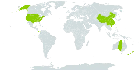 Ranunculus world distribution map, present in Australia, China, New Zealand, Panama, and United States of America