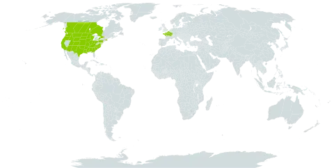 Ranunculus minimus world distribution map, present in Canada, France, and United States of America