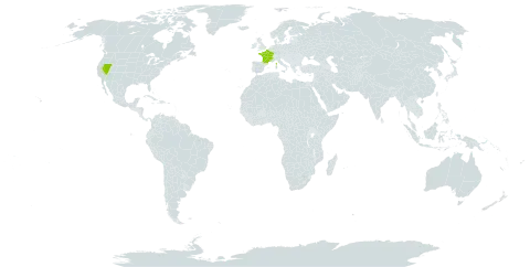 Ranunculus pyrenaeus subsp. angustifolius world distribution map, present in Andorra, France, and United States of America