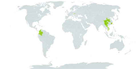 Rheum officinale world distribution map, present in China, Colombia, Lao People's Democratic Republic, Slovakia, and Viet Nam