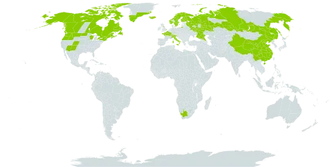 Rhinanthus minor world distribution map, present in Canada, Switzerland, China, Finland, France, United Kingdom of Great Britain and Northern Ireland, Greenland, Iceland, Italy, Norway, Russian Federation, Slovenia, Sweden, United States of America, and South Africa