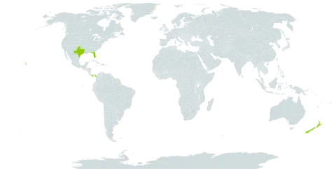 Rhipsalis world distribution map, present in New Zealand, Panama, and United States of America