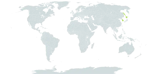 Rhododendron diversipilosum world distribution map, present in Japan, Korea (Republic of), and Russian Federation