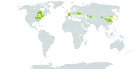 Rhodotypos scandens world distribution map, present in Canada, China, Czech Republic, France, Japan, Korea (Democratic People's Republic of), Ukraine, United States of America, and Uzbekistan